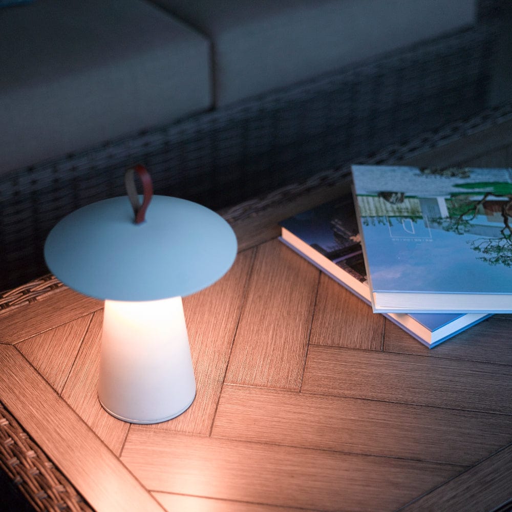 Portables Ara To-Go Battery Light Portable