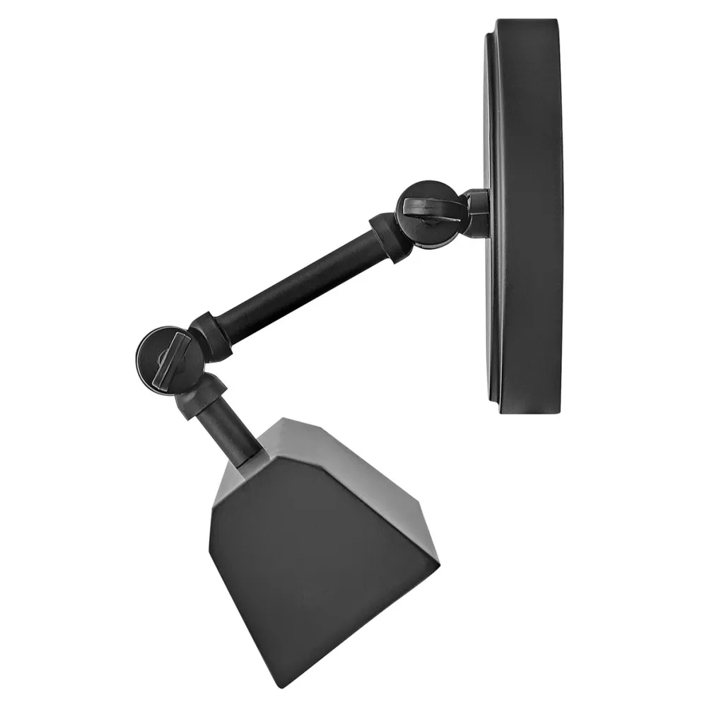 Picture Lights Arti Large Accent Wall Sconce