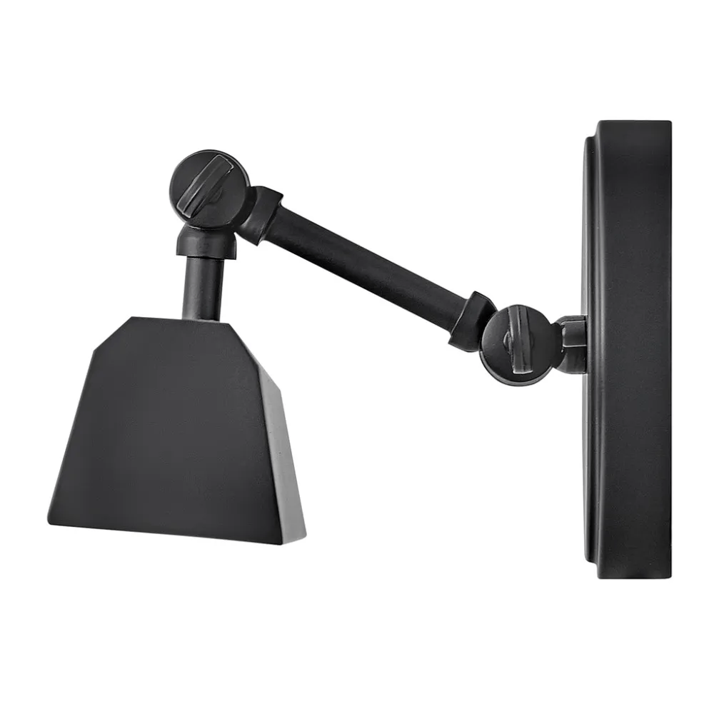 Picture Lights Arti Medium Accent Wall Sconce