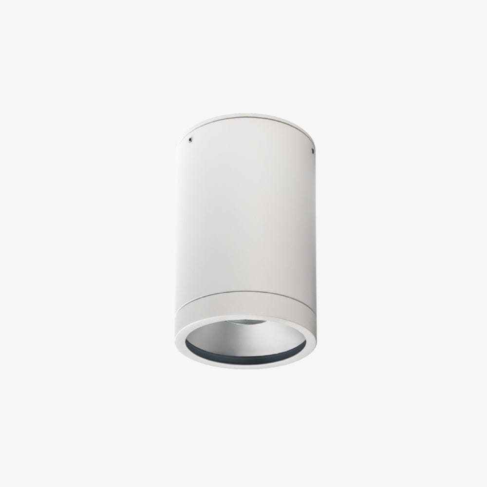 Exterior Wall Light Athena G2 Surface Mounted Downlight
