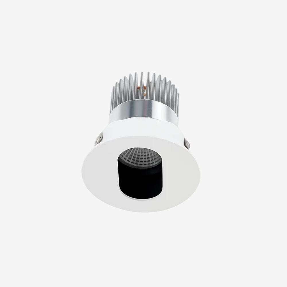 Recessed B110PO Down Light - Adjustable