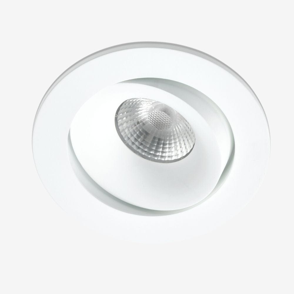Recessed B110R Down Light - Adjustable