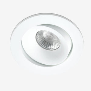 Recessed B110R Down Light - Adjustable
