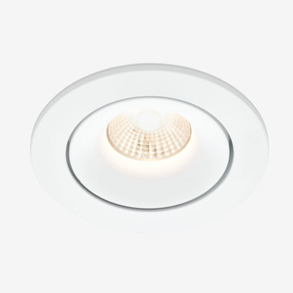 Recessed B110R Down Light - Adjustable