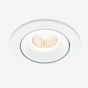 Recessed B110R Down Light - Adjustable