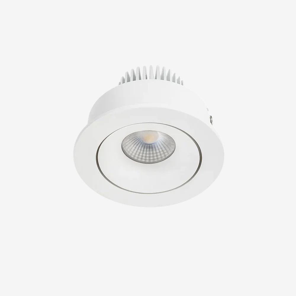 Recessed B110R Down Light - Adjustable