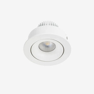 Recessed B110R Down Light - Adjustable