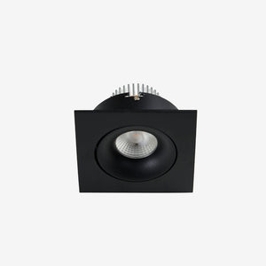 Recessed B110S Down Light - Adjustable