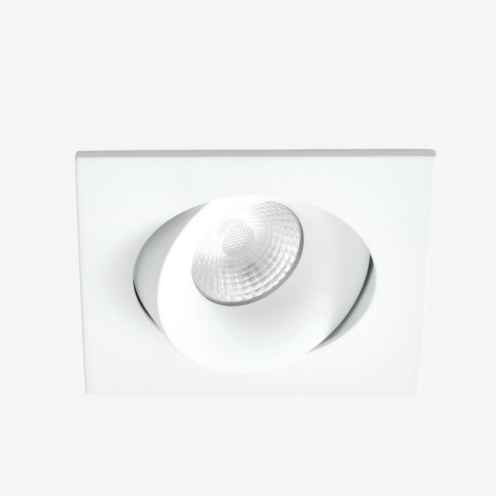 Recessed B110S Down Light - Adjustable
