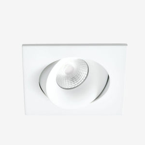 Recessed B110S Down Light - Adjustable