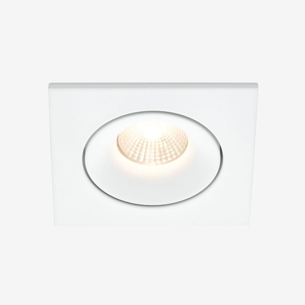 Recessed B110S Down Light - Adjustable