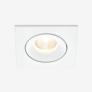 Recessed B110S Down Light - Adjustable