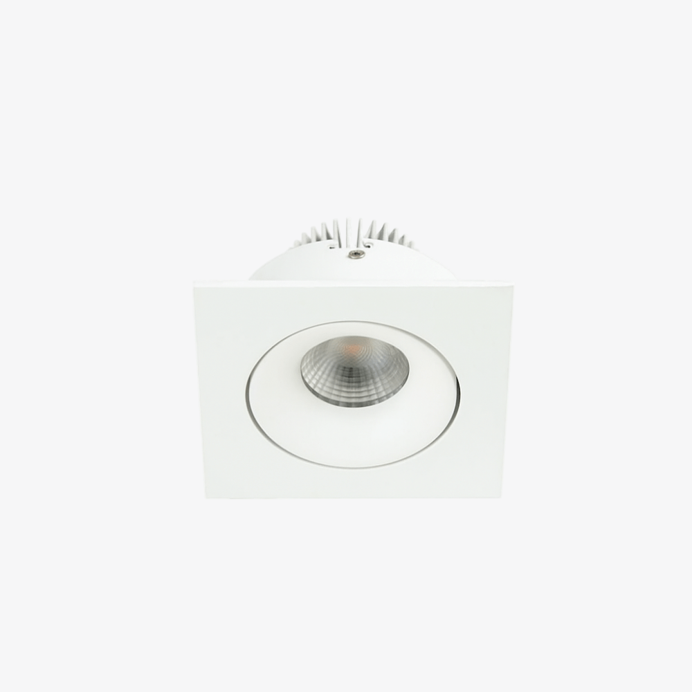 Recessed B110S Down Light - Adjustable