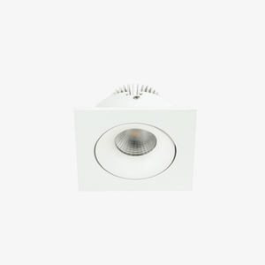 Recessed B110S Down Light - Adjustable