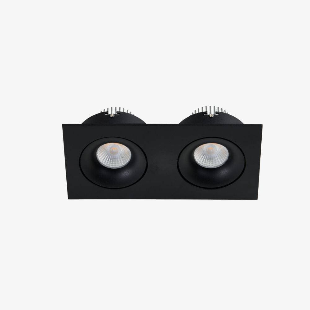 Recessed B110SDouble Down Light - Adjustable