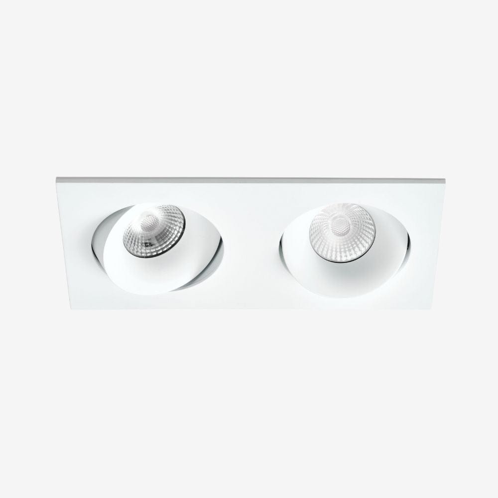 Recessed B110SDouble Down Light - Adjustable