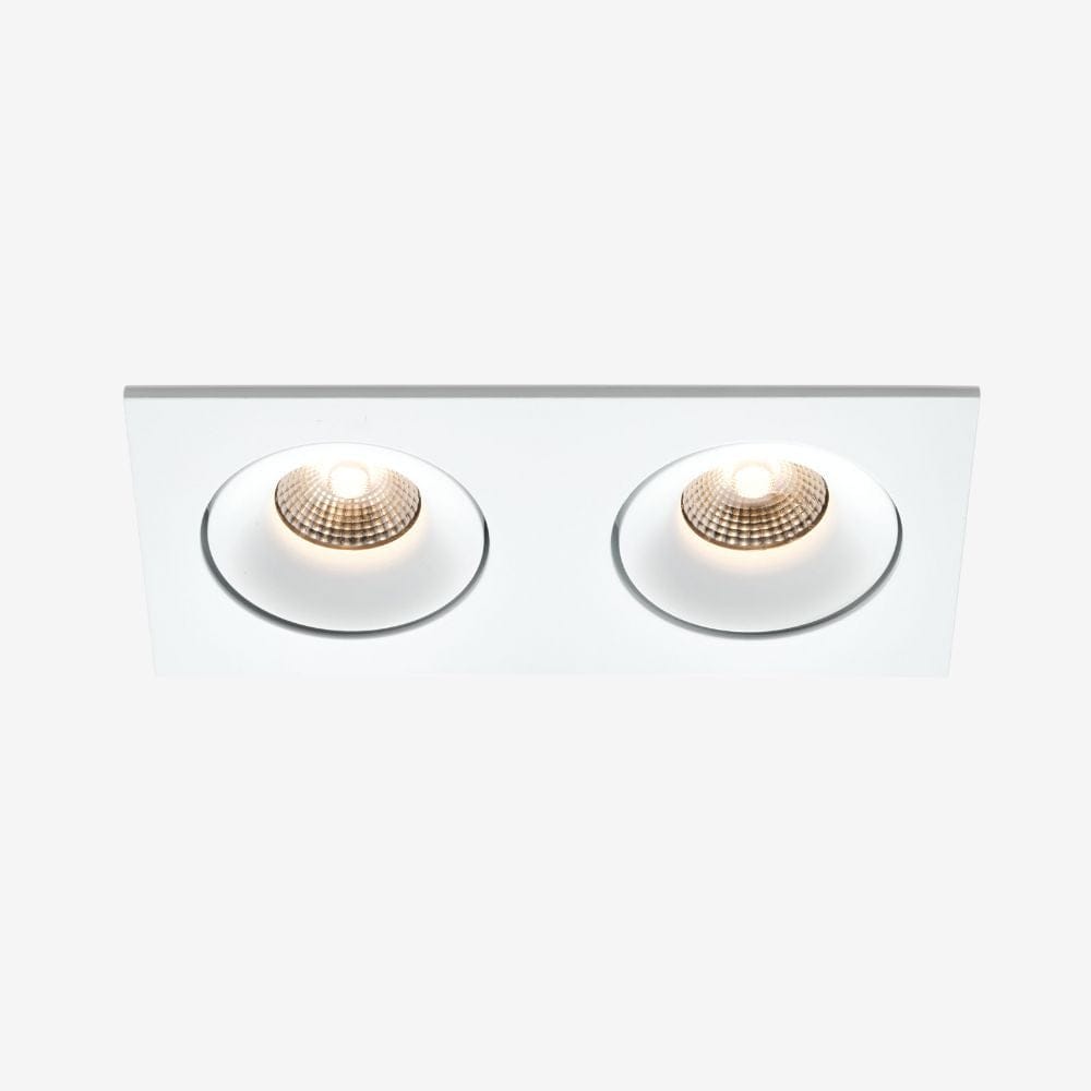 Recessed B110SDouble Down Light - Adjustable