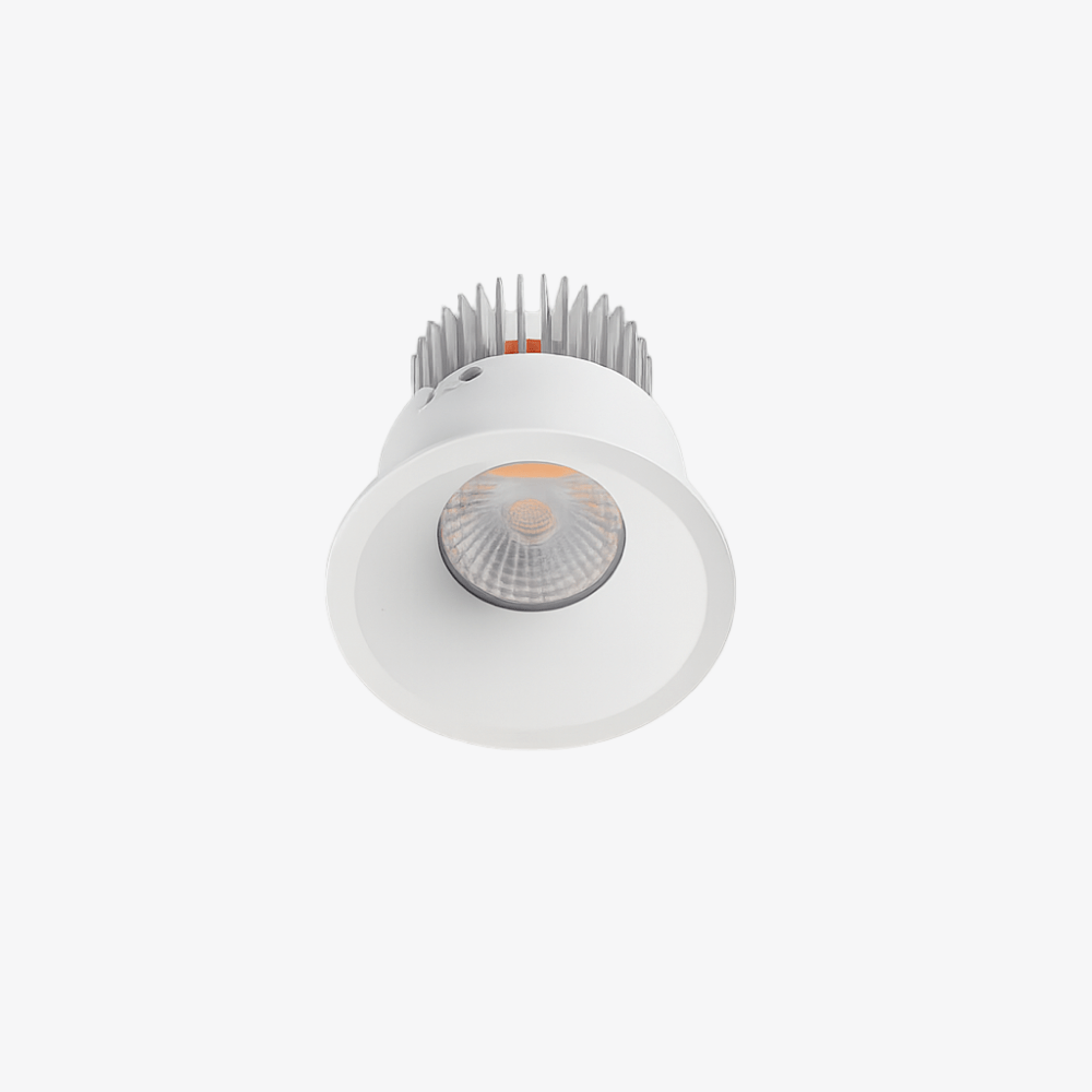 Recessed B138IP Down Light
