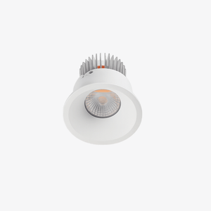 Recessed B138IP Down Light