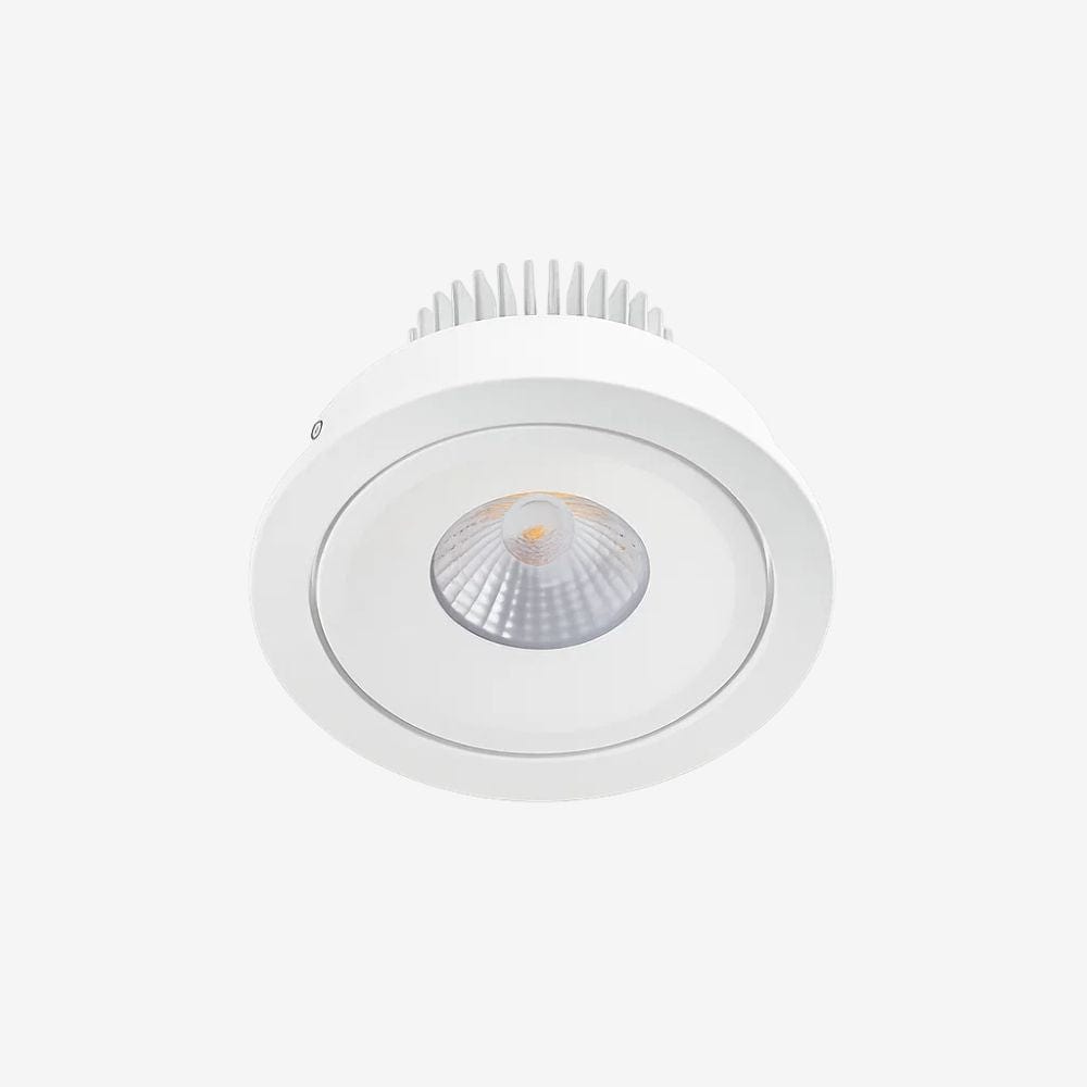 Recessed B139L Down Light - Adjustable