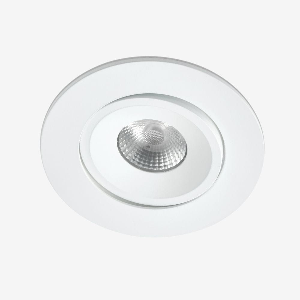 Recessed B139LX Down Light - Adjustable