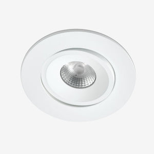Recessed B139LX Down Light - Adjustable