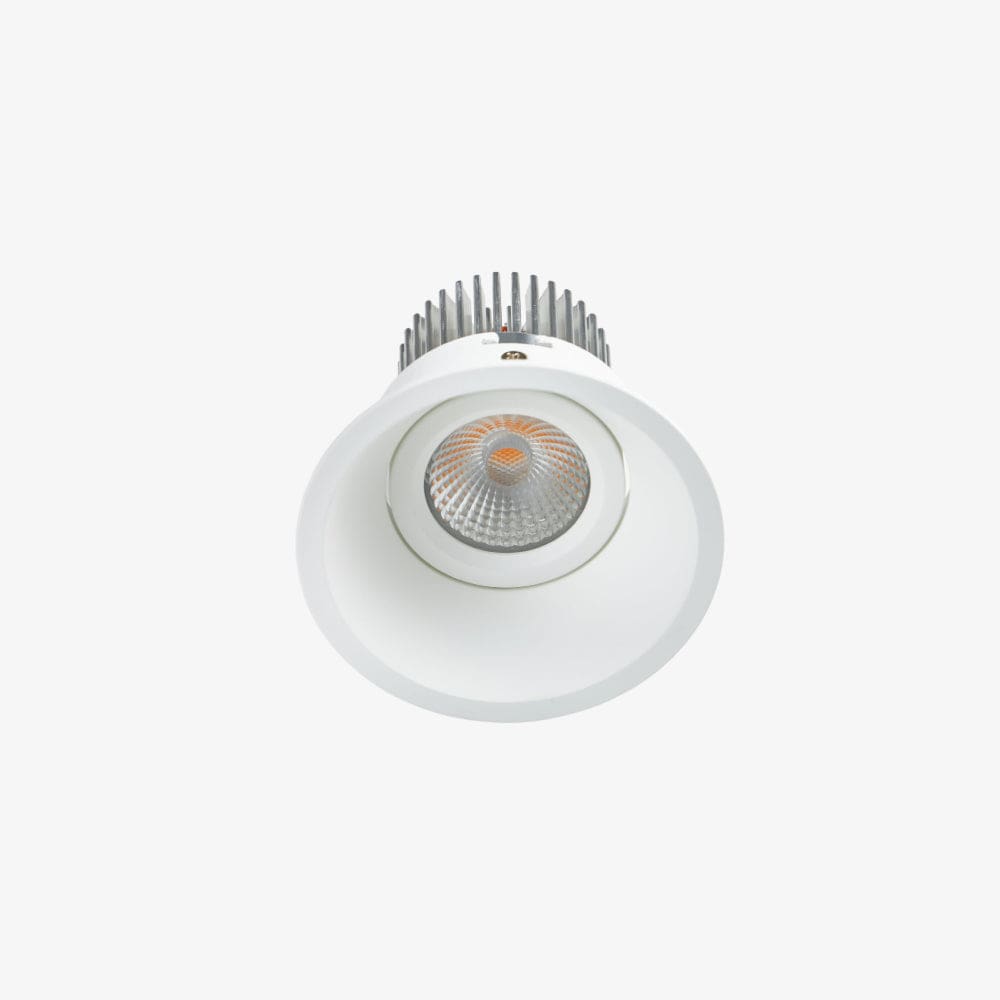 Recessed B236 Down Light