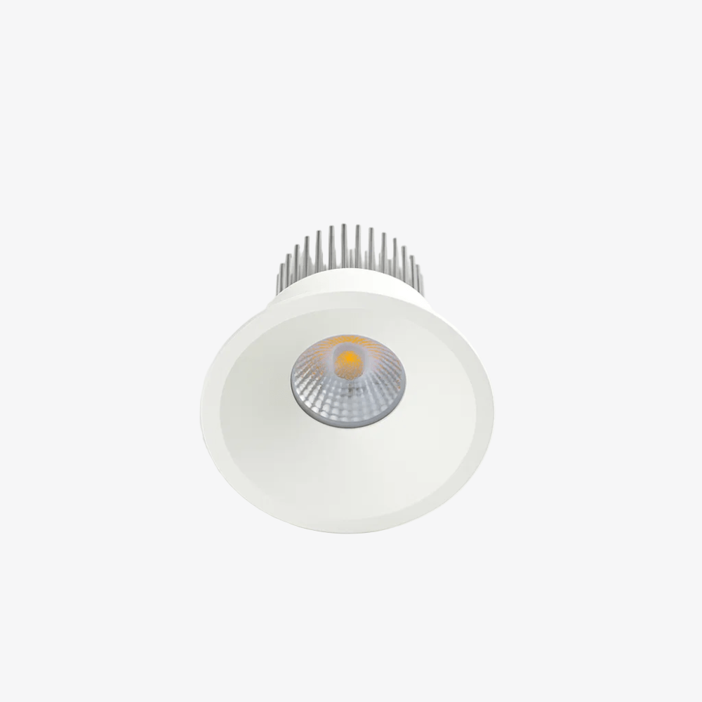 Recessed B236IP Down Light