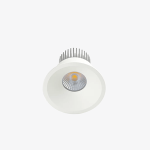 Recessed B236IP Down Light