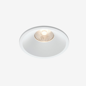 Recessed B236IP Down Light