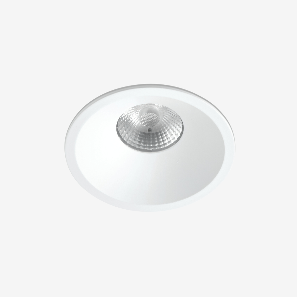 Recessed B236IP Down Light