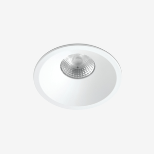 Recessed B236IP Down Light
