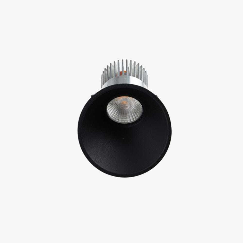 Recessed B240 Asymmetrical Down Light