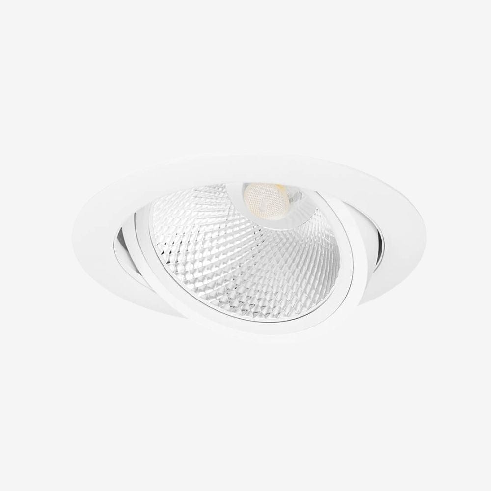 Recessed B501 Down Light - Adjustable
