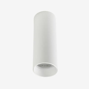 Recessed BC721 Down Light