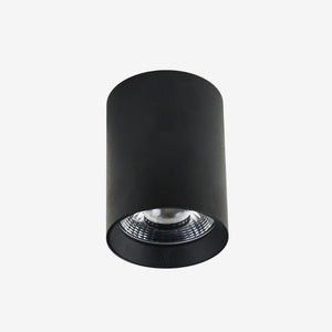 Recessed BC912 Down Light