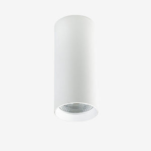 Recessed BC921 Down Light