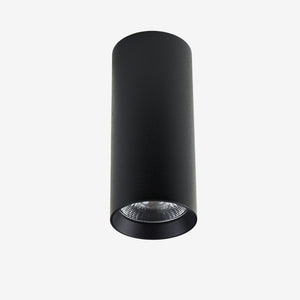 Recessed BC921 Down Light