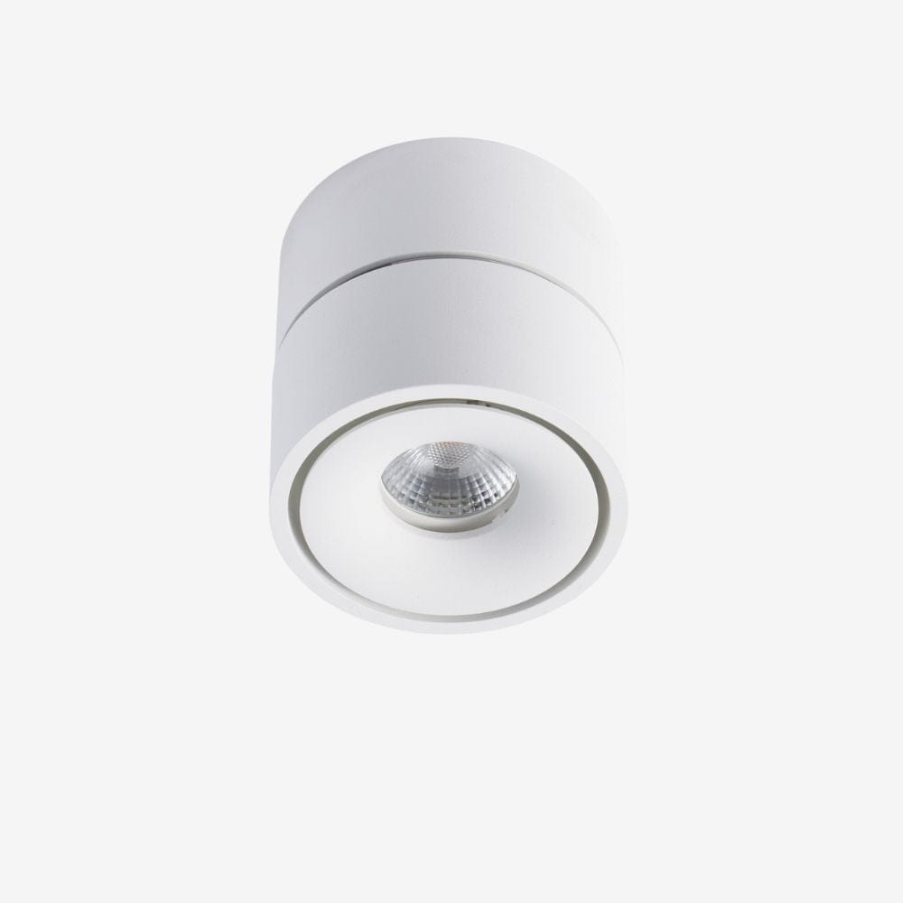 Recessed BCA150SM Down Light - Adjustable