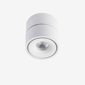 Recessed BCA150SM Down Light - Adjustable