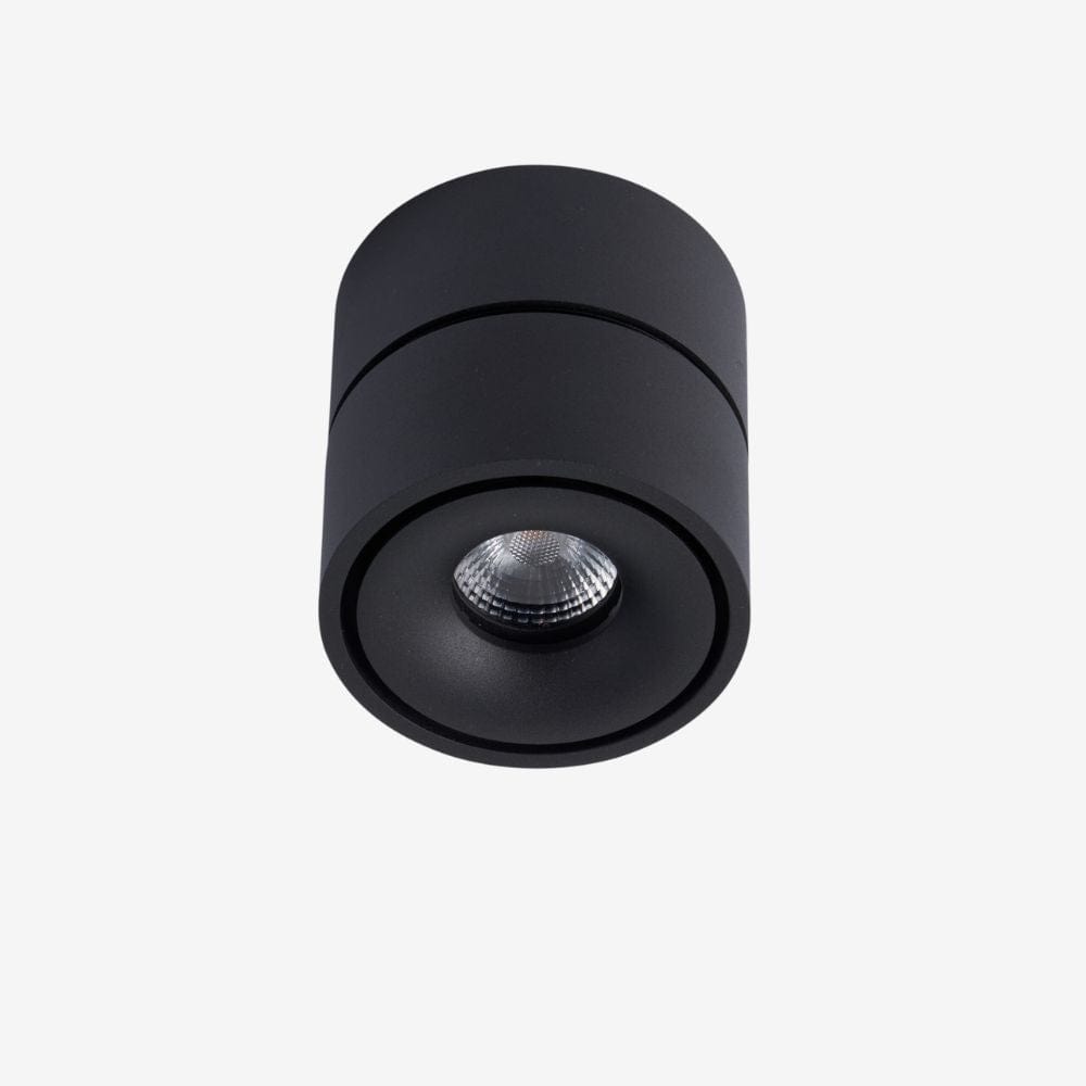 Recessed BCA150SM Down Light - Adjustable