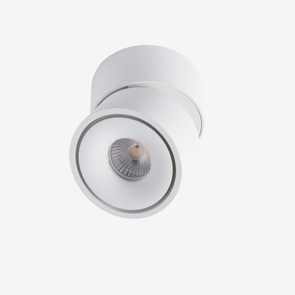 Recessed BCA150SM Down Light - Adjustable