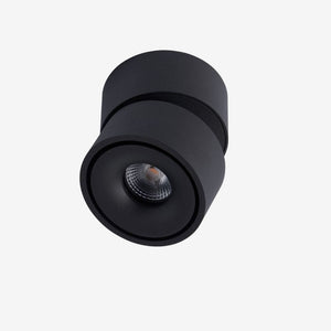 Recessed BCA150SM Down Light - Adjustable