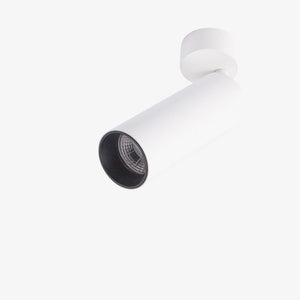 Interior Bar & Spot BCA514SM Downlights Semi Recessed -  Adjustable