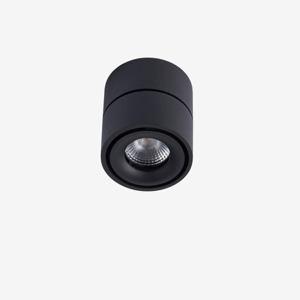 Recessed BCA840SM Down Light - Adjustable