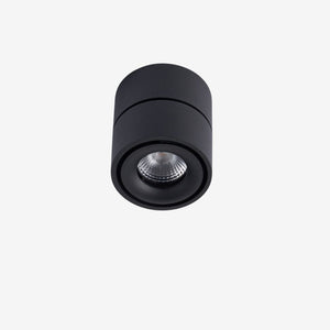 Recessed BCA840SM Down Light - Adjustable