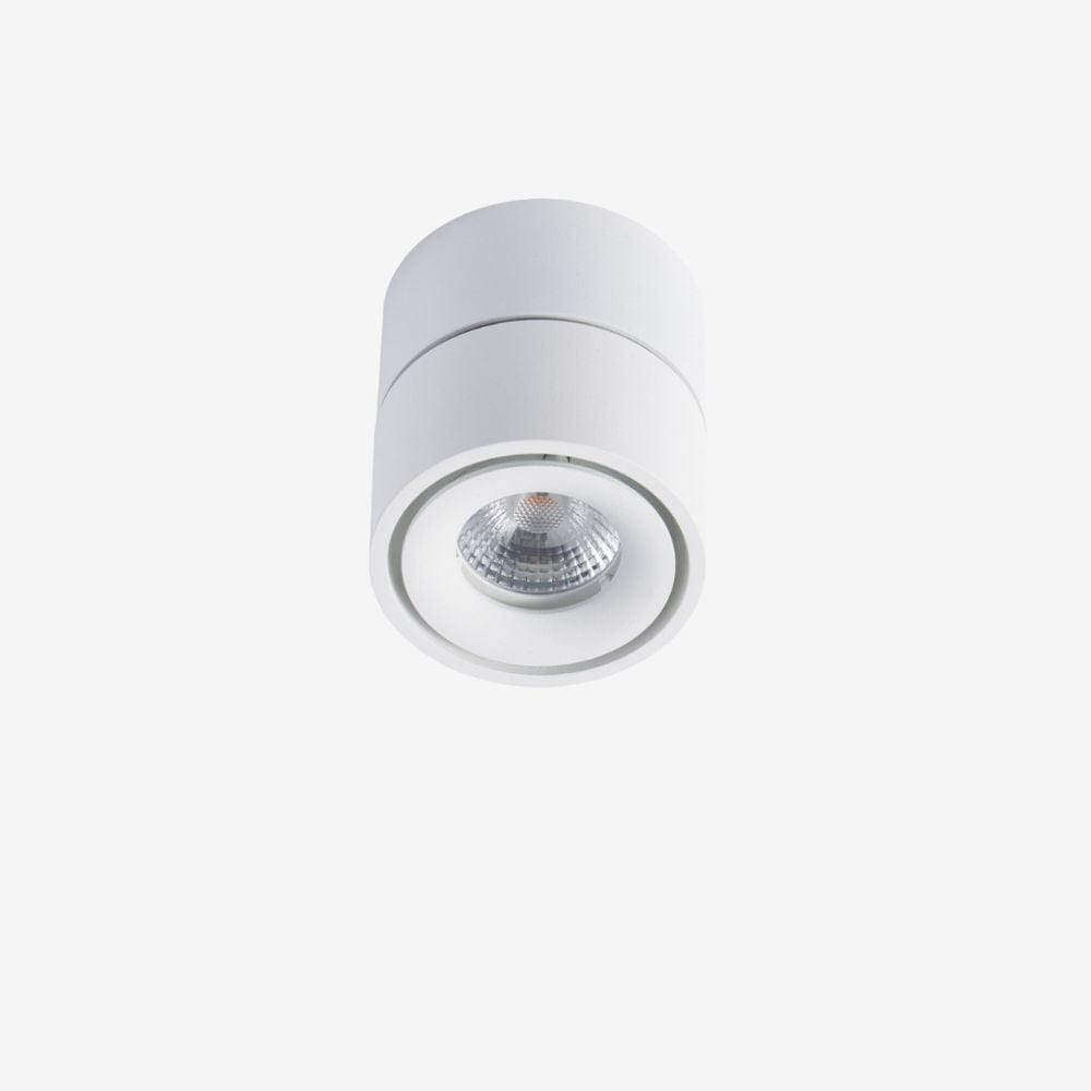 Recessed BCA840SM Down Light - Adjustable