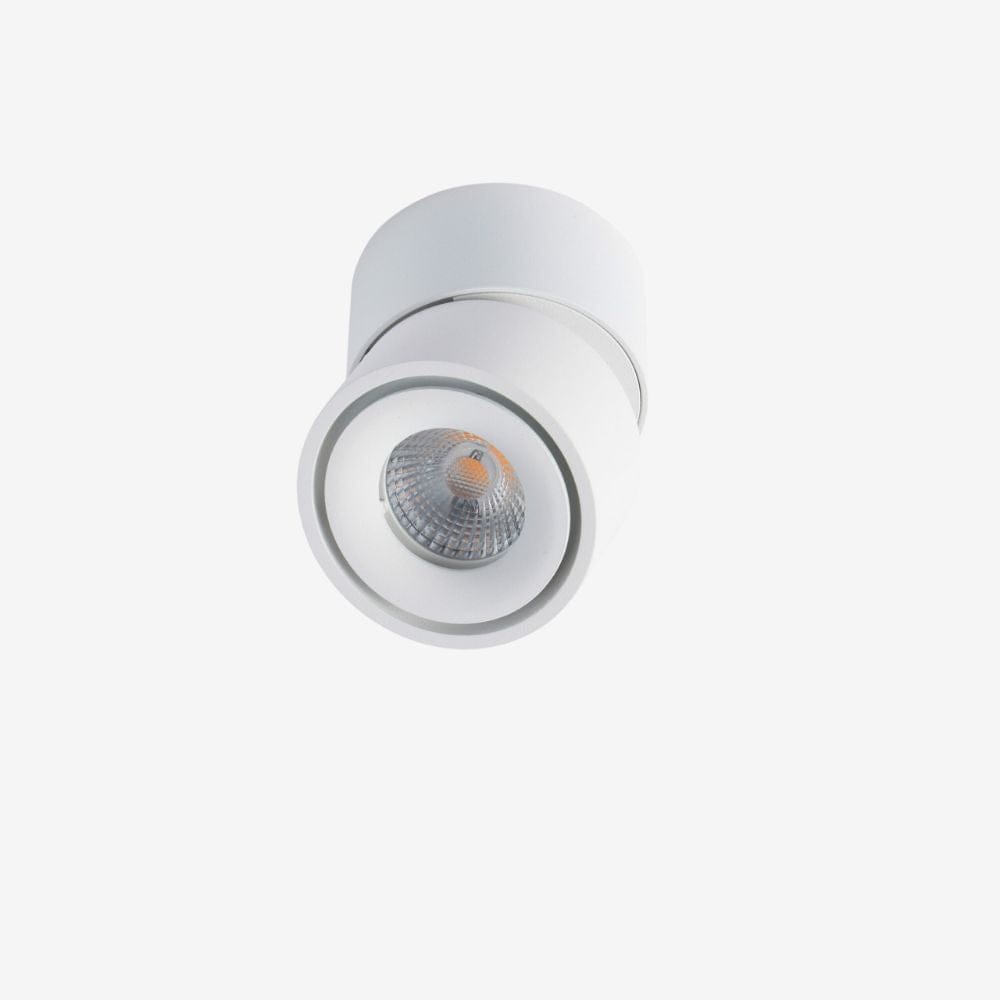 Recessed BCA840SM Down Light - Adjustable