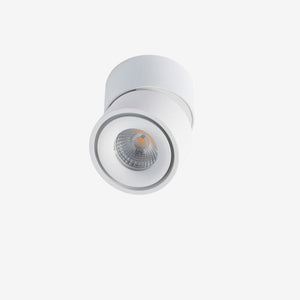 Recessed BCA840SM Down Light - Adjustable
