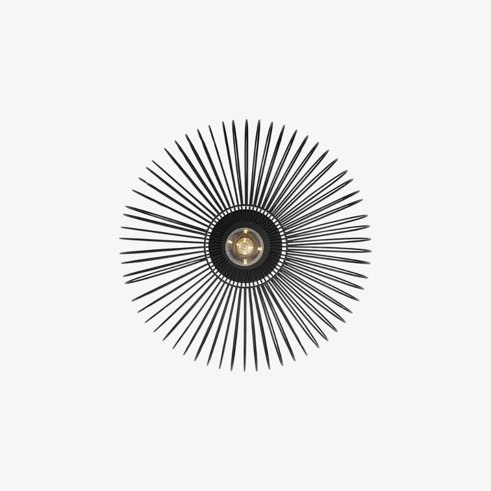 Interior Flush & Semi Flush Beroni Ceiling Light